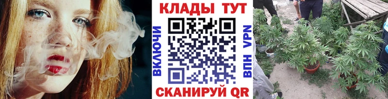 Что такое Новозыбков Alpha-PVP  Конопля  КОКАИН  НБОМе  Гашиш  Меф  АМФ 