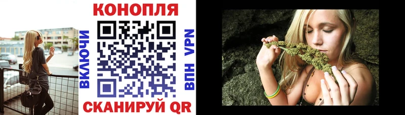 Бошки Шишки конопля Новозыбков